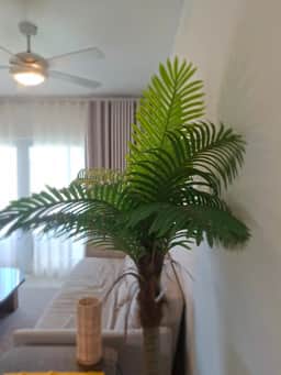 1 bedroom, pool view, walk to beach - Image 3