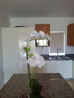Encuentro Gem- 2 bed Pet friendly condo - Image 5
